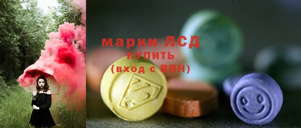 таблы Гусев