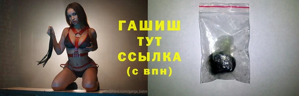 таблы Гусев