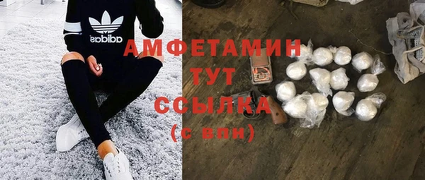 таблы Гусев