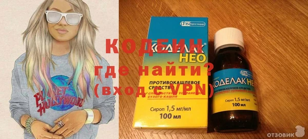 таблы Гусев