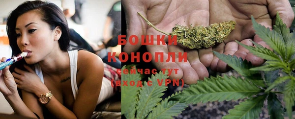 соль ск Гусь-Хрустальный
