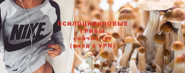 таблы Гусев
