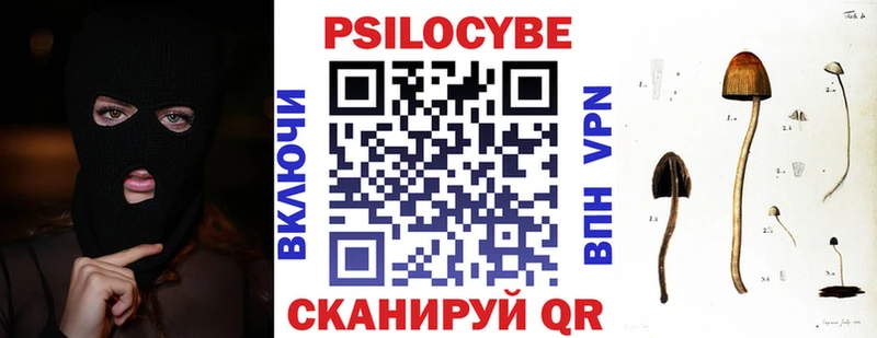 Купить  Калач-на-Дону  Псилоцибиновые грибы мицелий 